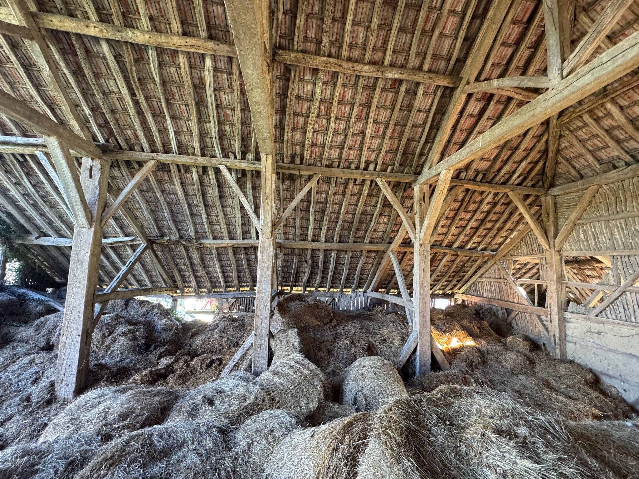 Inside the 1487 barn — the centuries-old oak timber frame, re-assembled by hand.